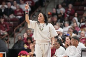 67deee55975eb.image