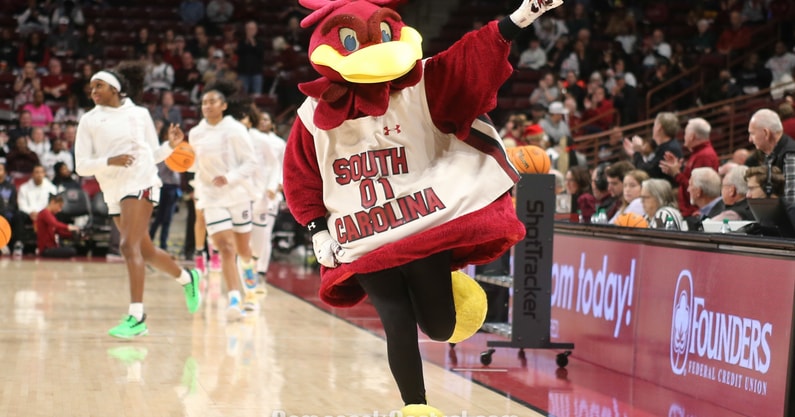 “Gamecock Newcomers Unveil Jersey Numbers — You Won’t Believe the History Behind Them!”