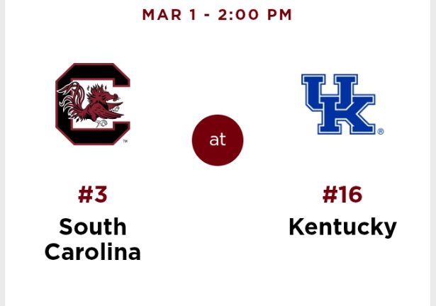No. 3 South Carolina vs. Kentucky Wildcats (WBB): Everything You Need to Know for the Regular Season Finale