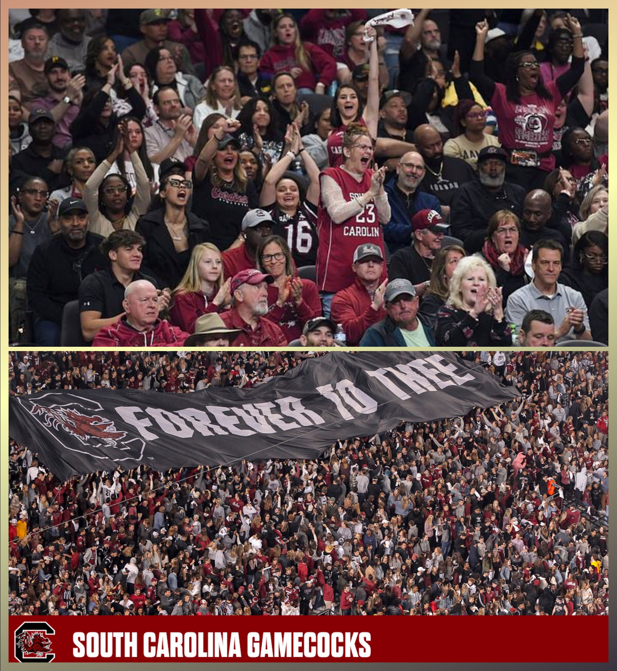 Why South Carolina Fans Might Be College Sports’ Most Tortured Souls