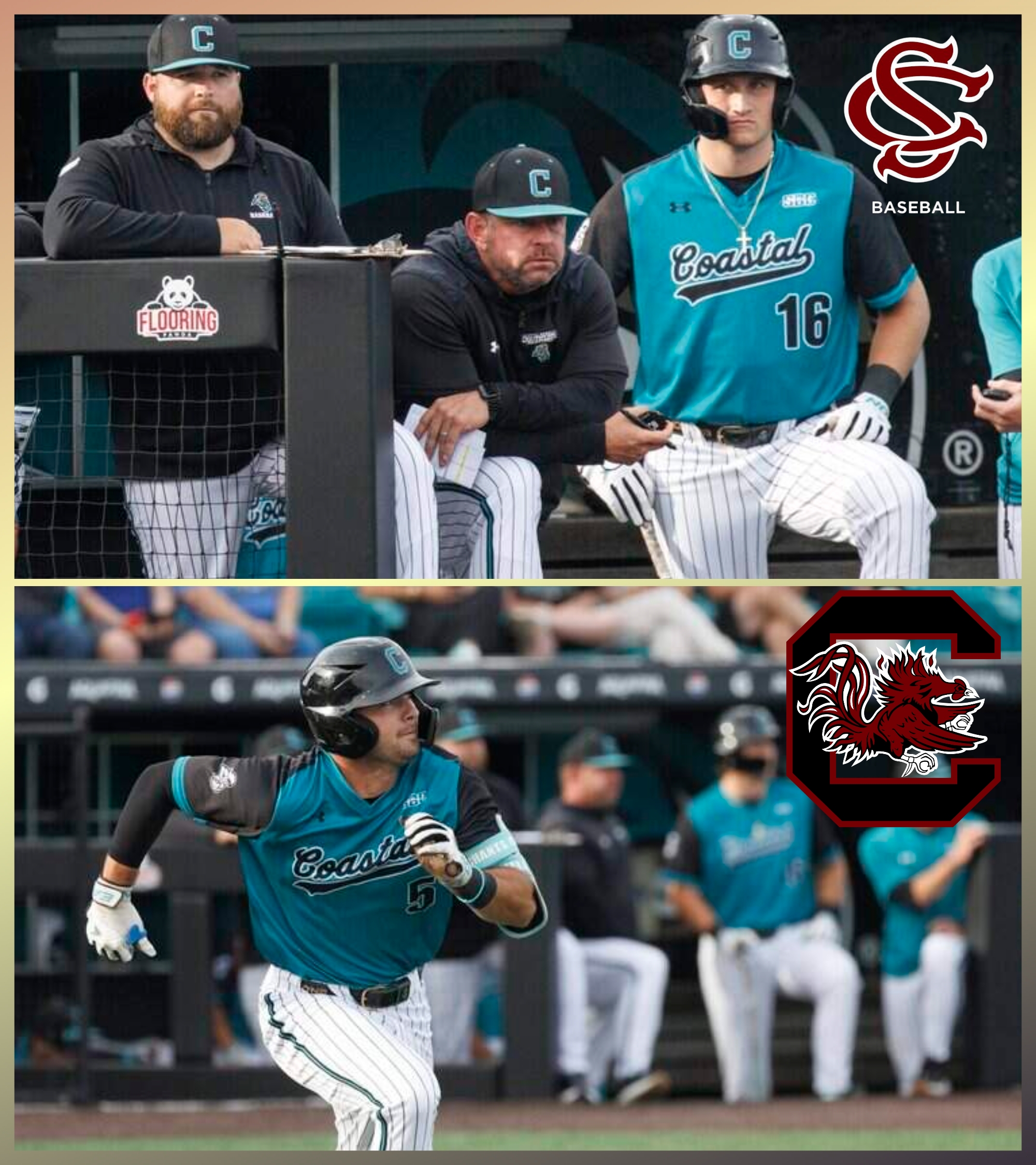 Schnall’s Shadow Roster: The Coastal Carolina Transfers South Carolina Should Be Targeting