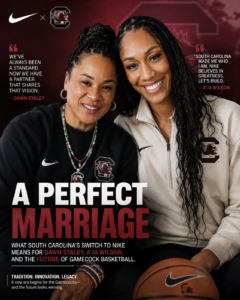 file_00000000b91071f4ae1001f3f86f5378