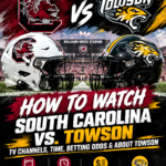 South Carolina Hosts Towson for First Night Game of the Season