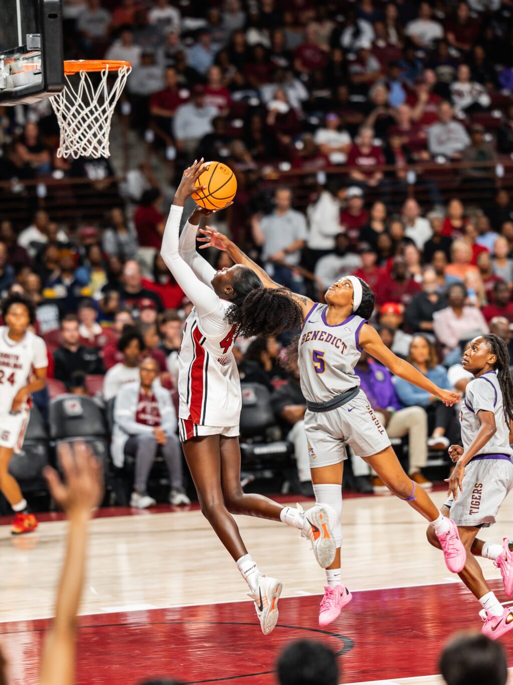 gamecockwbb_1792804990222